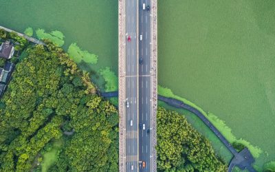 Best practices and benefits of eco-driving